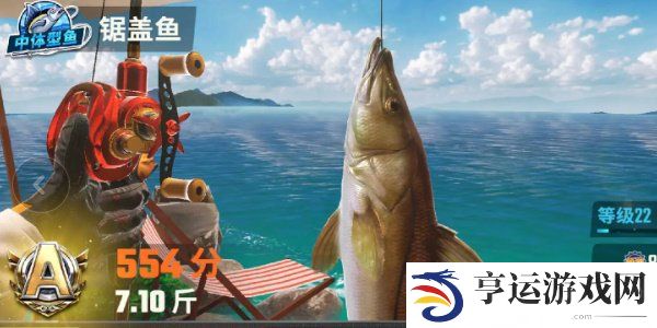 欢乐钓鱼大师鱼类图鉴大全 欢乐钓鱼大师全部种类的鱼图鉴一览