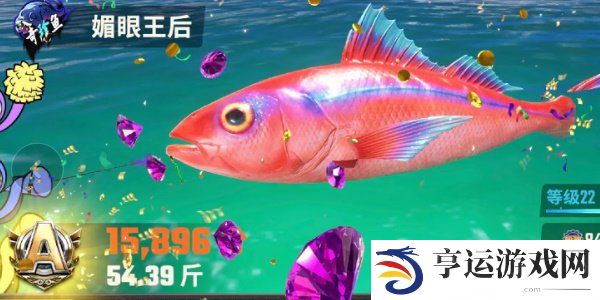 欢乐钓鱼大师鱼类图鉴大全 欢乐钓鱼大师全部种类的鱼图鉴一览