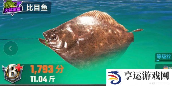 欢乐钓鱼大师鱼类图鉴大全 欢乐钓鱼大师全部种类的鱼图鉴一览