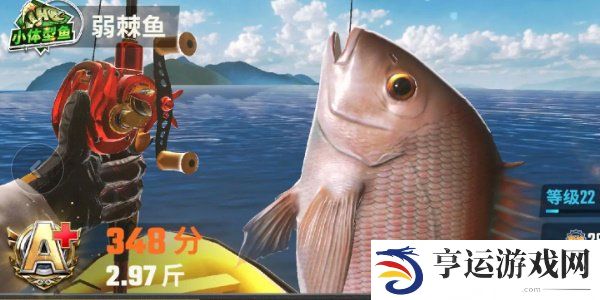 欢乐钓鱼大师鱼类图鉴大全 欢乐钓鱼大师全部种类的鱼图鉴一览
