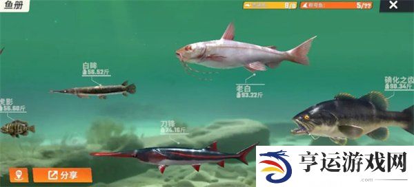欢乐钓鱼大师鱼类图鉴大全 欢乐钓鱼大师全部种类的鱼图鉴一览