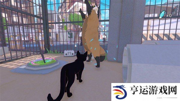 小猫咪大城市游戏怎么爬藤蔓 小猫咪大城市游戏玩法及背景介绍