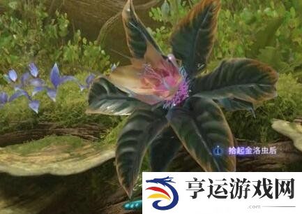 阿凡达潘多拉边境支线任务一路顺风怎么过 支线任务一路顺风游戏攻略