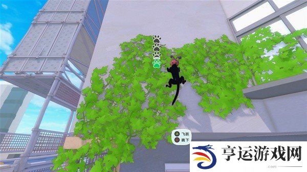 小猫咪大城市游戏怎么爬藤蔓 小猫咪大城市游戏玩法及背景介绍