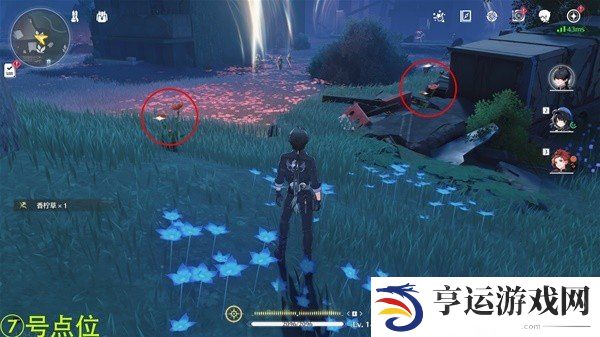 鸣潮妙弋花采集路线分享 鸣潮妙弋花如何大量采集