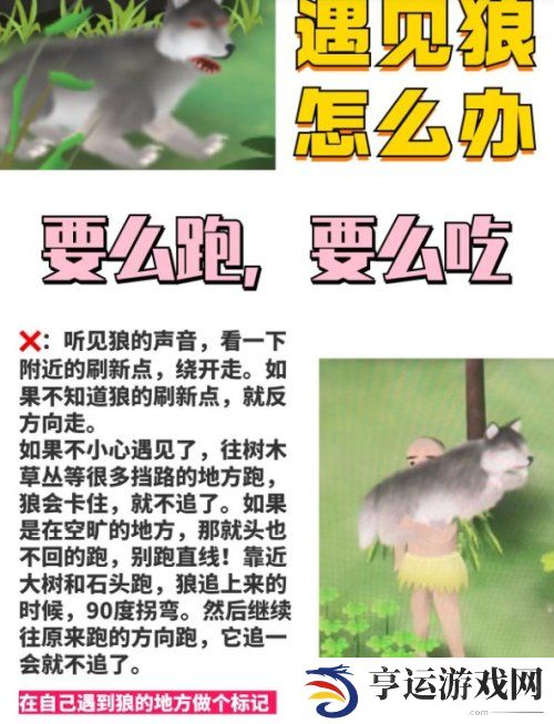 挨饿荒野游戏攻略 挨饿荒野游戏技巧