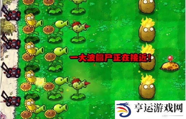 植物大战僵尸杂交版第三关怎么过 植物大战僵尸杂交版冒险模式第3关攻略