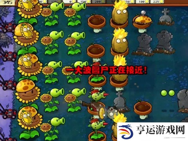 植物大战僵尸杂交版第五关怎么过 植物大战僵尸杂交版冒险模式第5关攻略