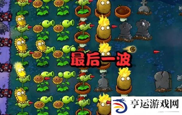 植物大战僵尸杂交版第五关怎么过 植物大战僵尸杂交版冒险模式第5关攻略