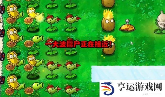 植物大战僵尸杂交版第三关怎么过 植物大战僵尸杂交版冒险模式第3关攻略