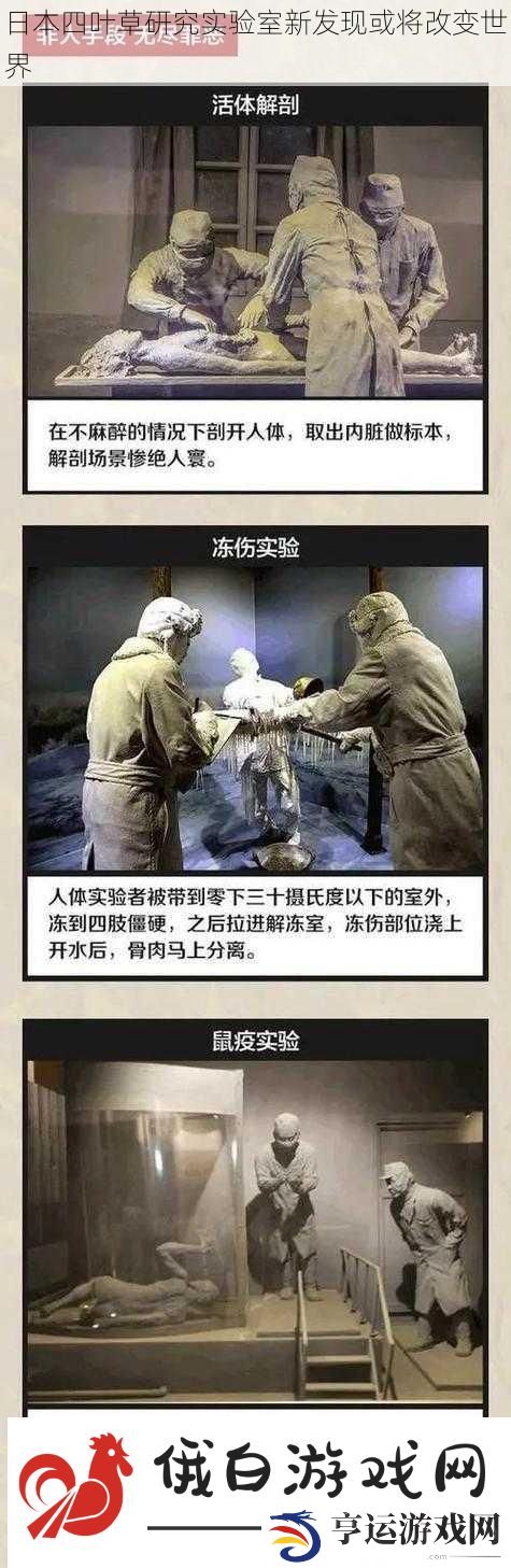 日本四叶草研究实验室新发现或将改变世界