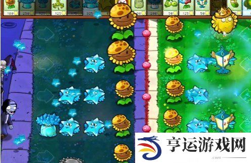 植物大战僵尸杂交版益智模式晨昏线怎么过？pvz杂交版益智模式晨昏线图文详解 