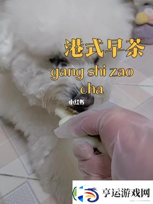 狗和人胶配方20分钟：探索宠物与主人的亲密关系：解锁独特美味新秘籍