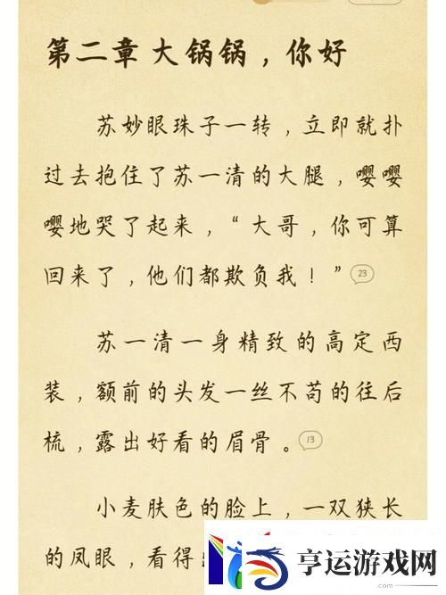 苏软软汆肉日常系统：探索美食背后的故事
