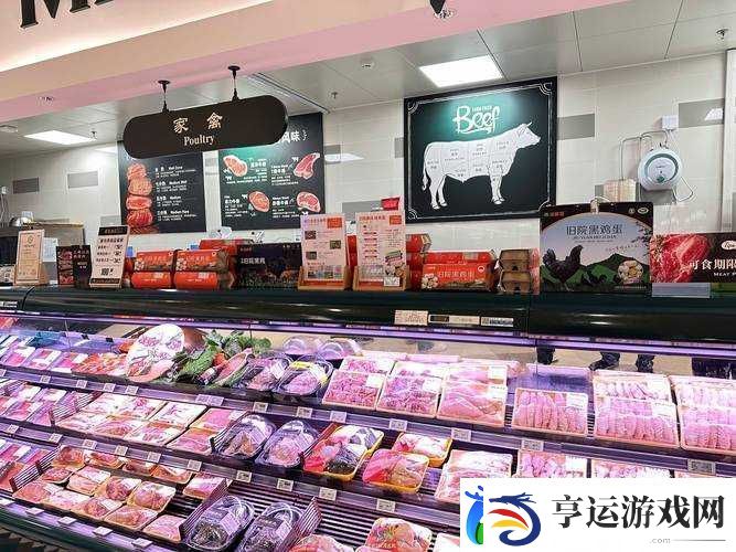 超级肉禽系统保安：守护肉禽世界的忠诚卫士传奇