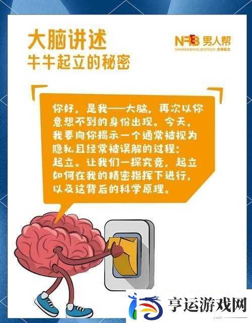 男生立起来要多久：探索其背后的影响因素与时间差异