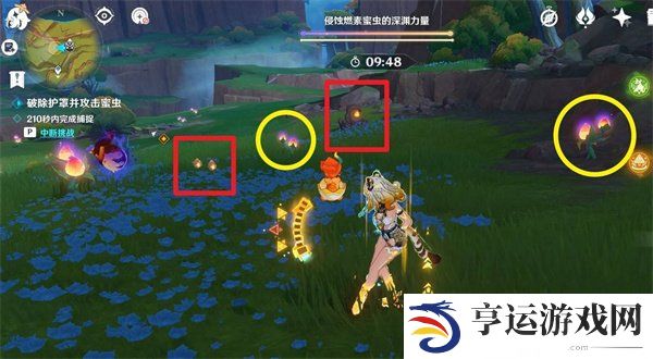 寻溯蜜虫之宝第一天玩法 寻溯蜜虫之宝第一天全奖励攻略