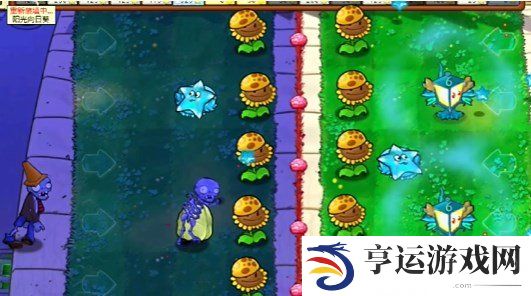 植物大战僵尸杂交版益智模式晨昏线怎么过？pvz杂交版益智模式晨昏线图文详解 
