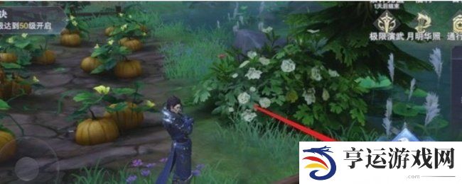 斗罗大陆村庄宝箱位置在哪里 斗罗大陆村庄宝箱位置分布图解