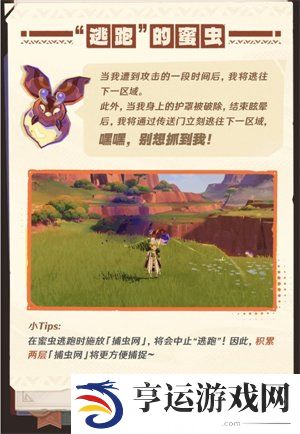 原神5.1寻溯蜜虫之宝活动介绍 寻溯蜜虫之宝活动玩法详情