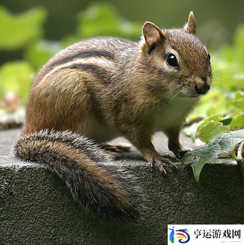 HooXi晒卡托维兹个人海报