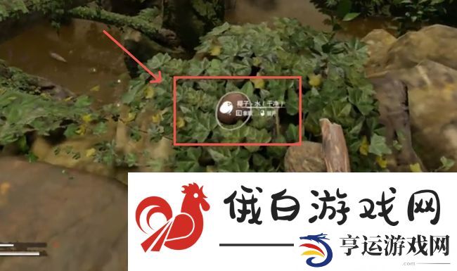 《绿色地狱》椰子打开方法
