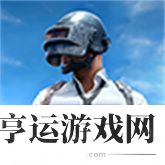 pubg地铁逃生国际服