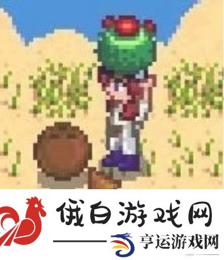 《星露谷物语》沙漠矿洞开启方法