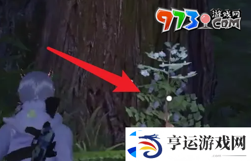 黎明觉醒草木纤维怎么获得