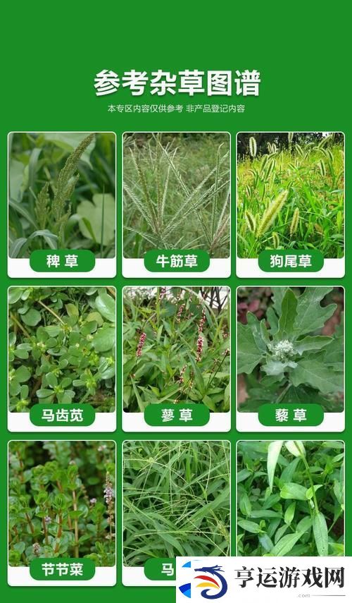 探索嫩草精产一二三产区的绿色未来