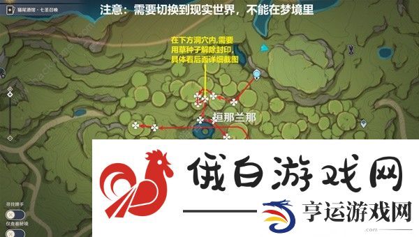 原神帕蒂沙兰新版采集位置大全 帕蒂沙兰最新采集路线一览图片7