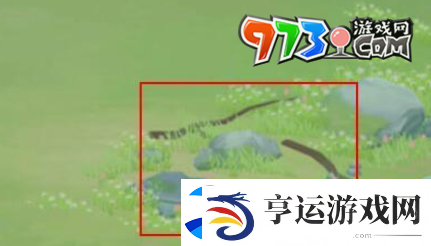江湖悠悠宠物怎么领养