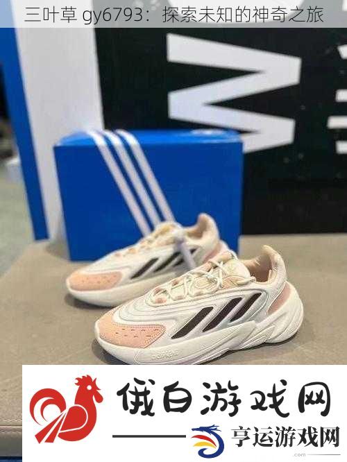 三叶草-gy6793：探索未知的神奇之旅
