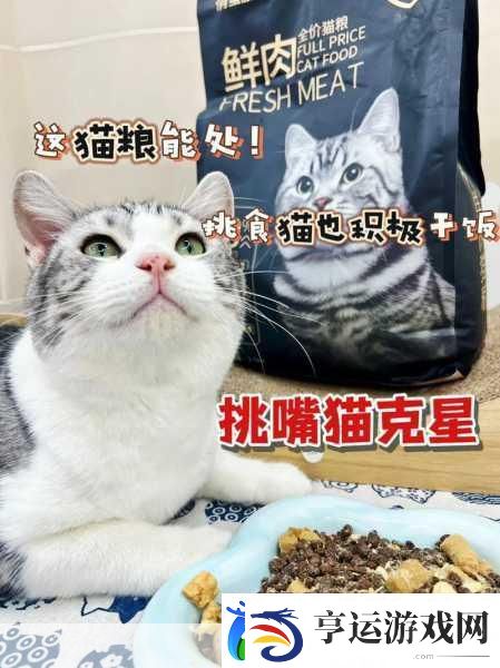 猫咪零食吧去广告版上线-打造专属萌宠乐园！