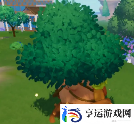 心动小镇12月12日溜溜橡木及无暇萤石位置