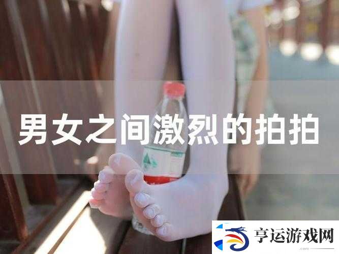 十大拍拍拍拍拍拍拍是什么-为何它们能免费-快来一探究竟