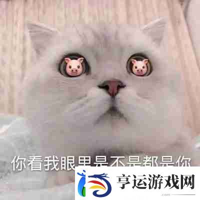 兜风吗妹妹表情包
