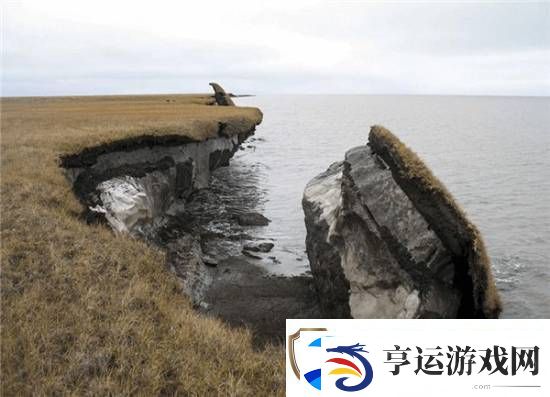 科学家复活了3万年前的种子-开花后发现和现在的并不相同
