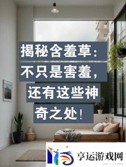 含羞草实验视秀恩爱：揭秘植物情感反应与人类爱情之间的奇妙联系