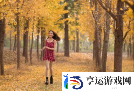 鲁大师影院在线观看电视视频-这真不错！