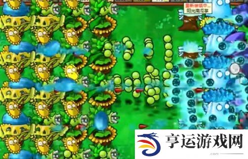 植物大战僵尸杂交版迷你游戏怎么玩 迷你游戏你看他们像柱子一样攻略