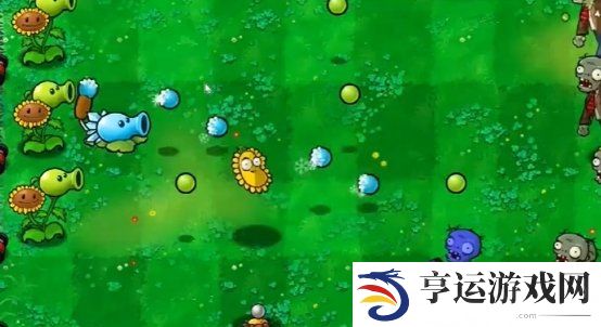 植物大战僵尸杂交版第一关怎么过 植物大战僵尸杂交版冒险模式第1关攻略