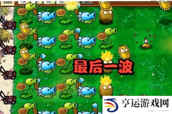 植物大战僵尸杂交版第一关怎么过 植物大战僵尸杂交版冒险模式第1关攻略