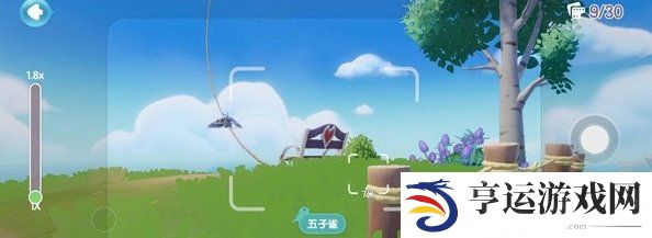 心动小镇鸟类出没地图位置一览 心动小镇鸟类出没都在哪里