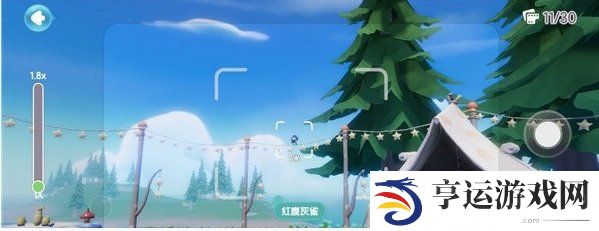 心动小镇鸟类出没地图位置一览 心动小镇鸟类出没都在哪里