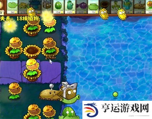 植物大战僵尸杂交版冒险模式76关过关攻略 76关怎么过？