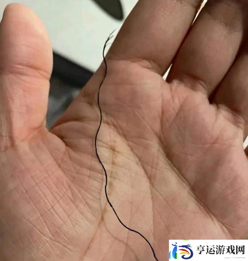 内容丰富有一根又黑又硬的-网友：这究竟是什么-