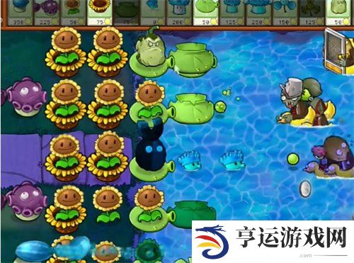 植物大战僵尸杂交版冒险模式77关过关攻略 77关怎么过？
