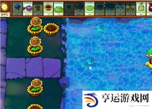 植物大战僵尸杂交版冒险模式77关过关攻略 77关怎么过？