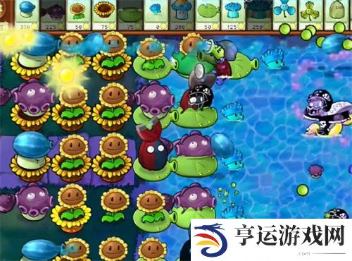 植物大战僵尸杂交版冒险模式77关过关攻略 77关怎么过？
